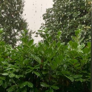 Meet your Posher, Zoe